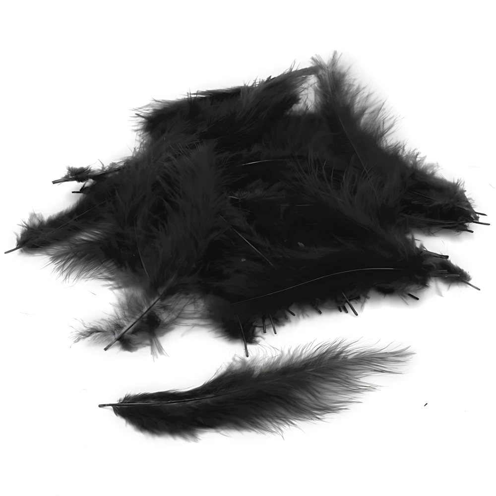 Piume Nere - Black Feathers, 100pz.