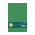 Tovaglia in plastica 137x274cm Verde scuro – monouso 1pz