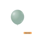 Palloncini Deco Line pastello 5" (13cm) Verde Polvere 259, 100pz.