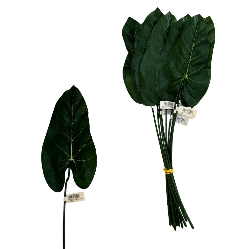 Foglia calla  60cm, 12pz.