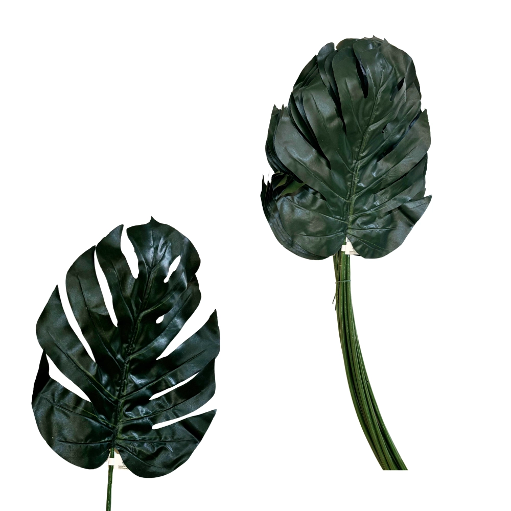 Philodendron Leaf 12pz